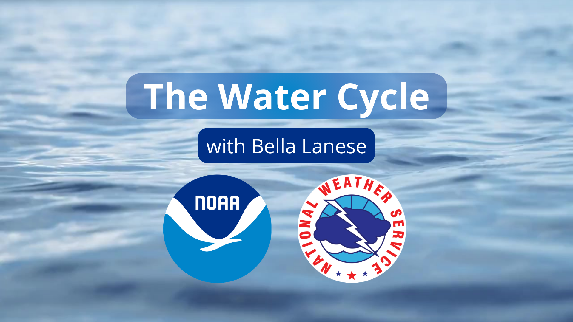 The Water Cycle